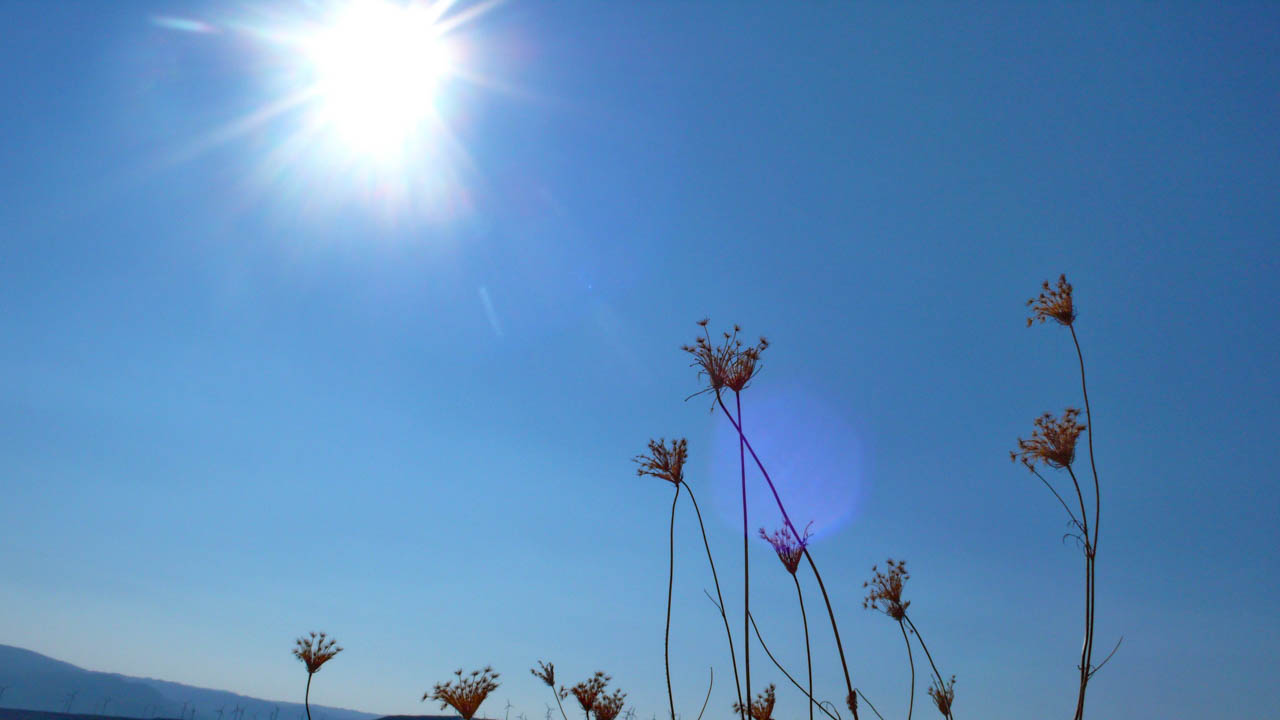 2011-09-19 09-11-39 BP